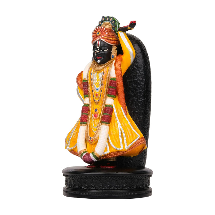 Shrinathji Murti The Artarium