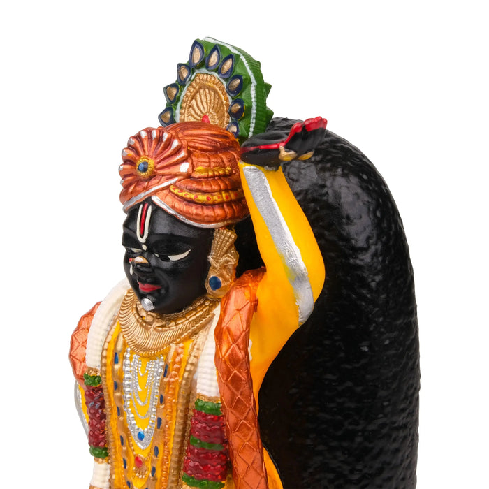 Shrinathji Murti The Artarium