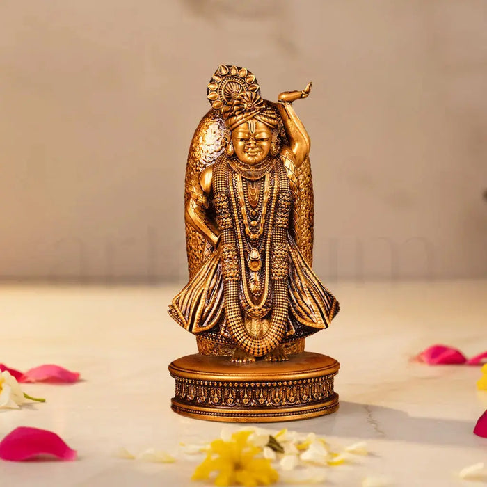 Shrinathji Murti