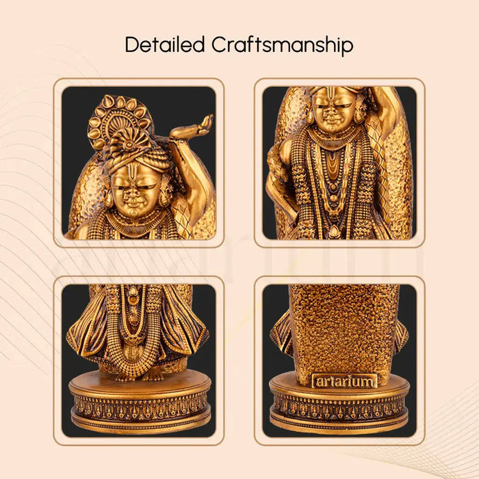 Shrinathji Murti