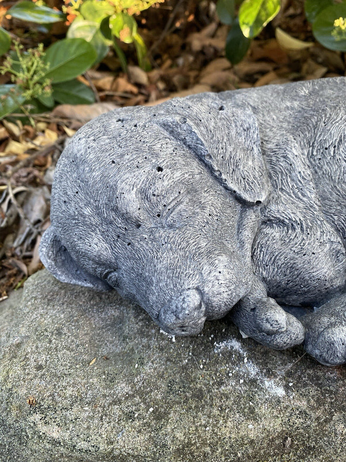 close up detail of concrete Labrador garden statues textured cement finish