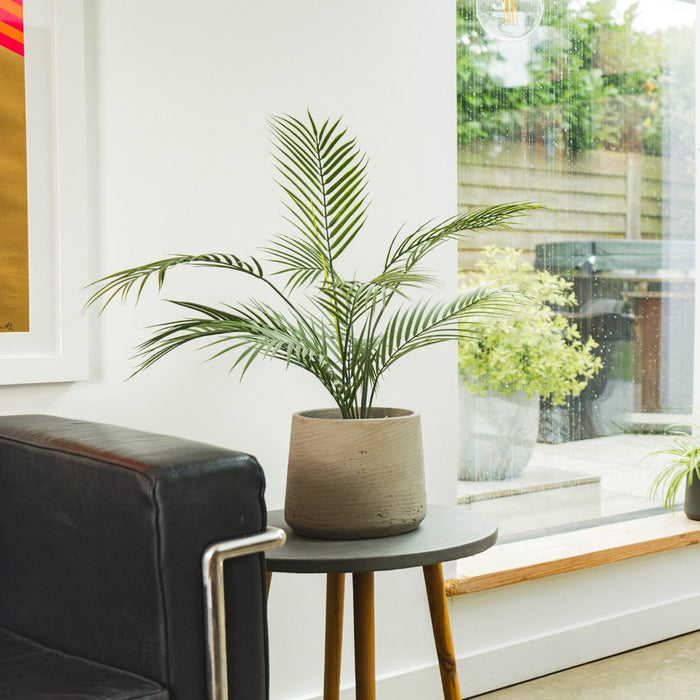 Modern living room with a black sofa, wooden side table, and potted plants.