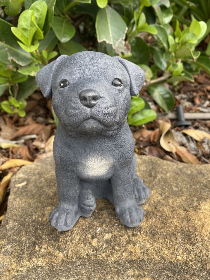 Close up detail of Staffordshire bull terrier concrete  garden statue textured cement finish