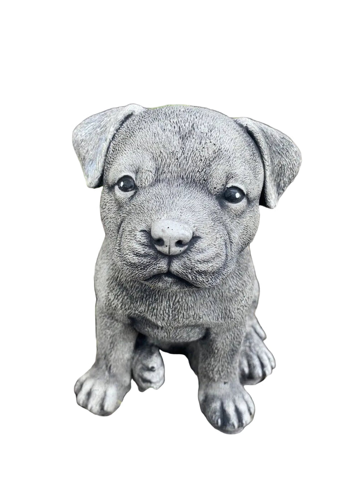 Concrete staffy garden statue front view outdoor cement dog ornament