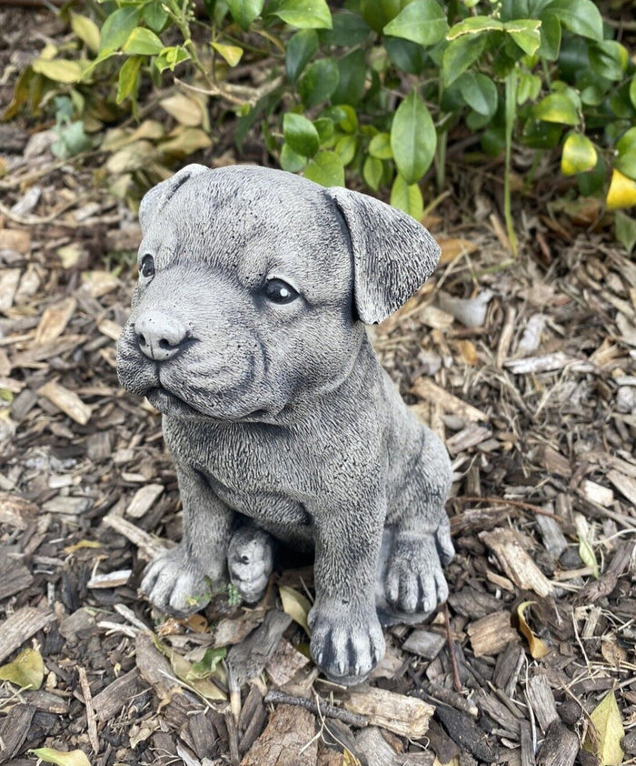 Small Staffordshire Bull Terrier Statue - Concrete Garden Ornament