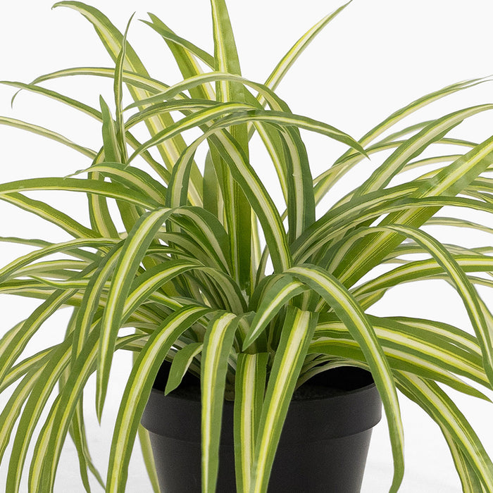 Artificial spider plant foliage