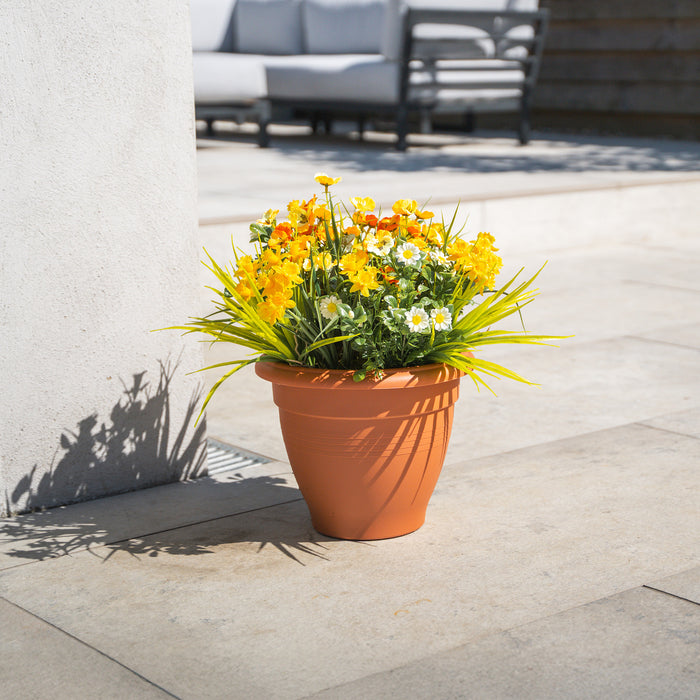 Potted plant with yellow and white flowers on a patio