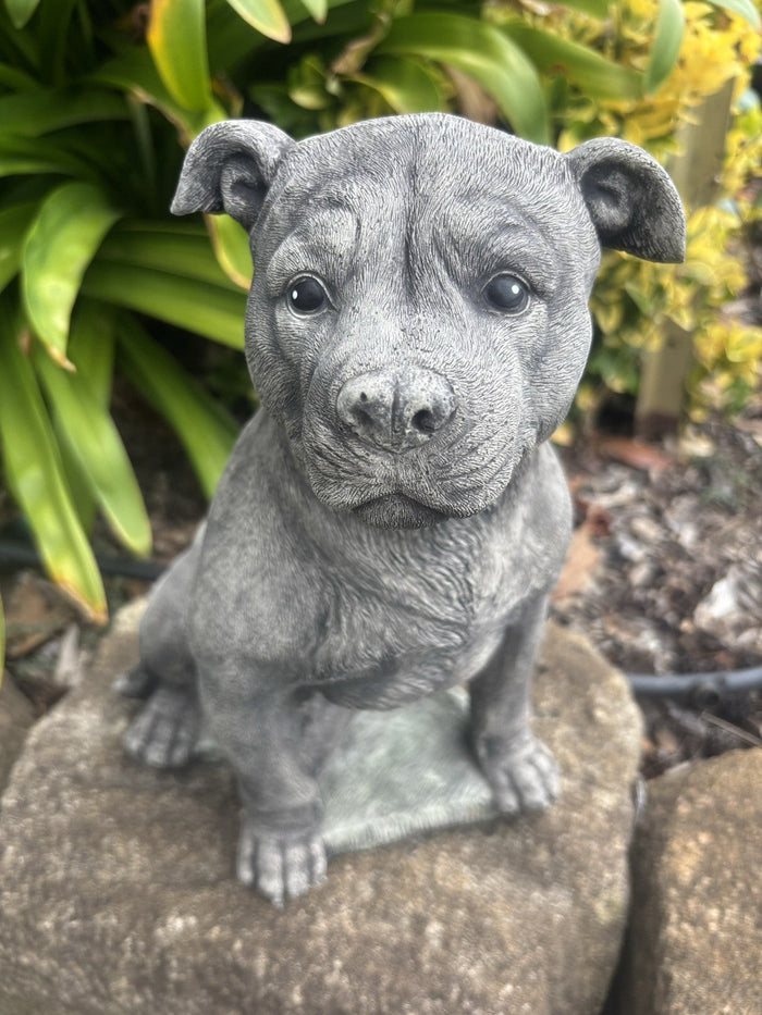 Front view concrete Staffordshire Bull Terrier garden statue outdoor cement dog ornament