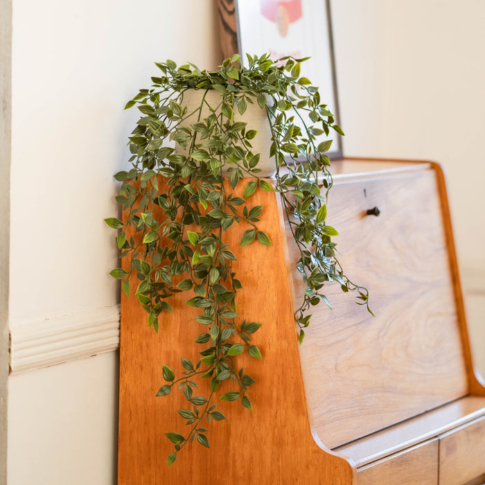 Trailing foliage