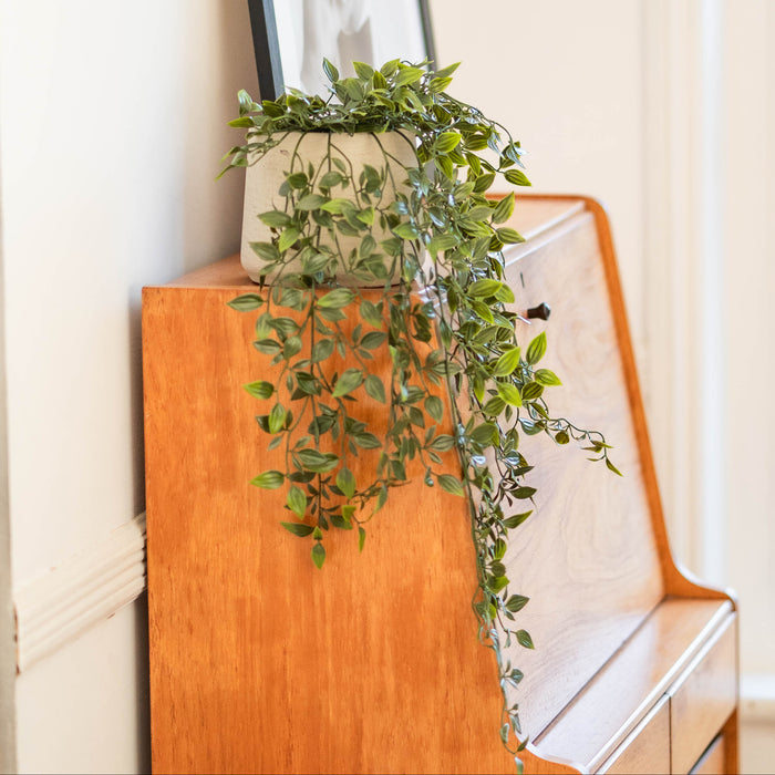 Trailing foliage