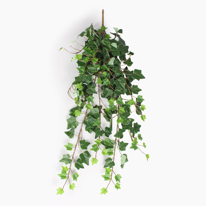 A hanging artificial ivy vine with glossy green leaves and brown stems, suspended against a plain white background.