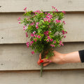 A hand with red nail polish holds a bouquet of artificial pink and white flowers with green leaves against a beige wooden siding background.