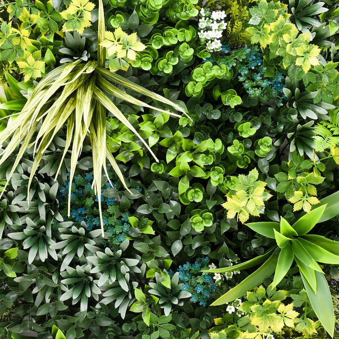 Vibrant medley green wall (3 pack)