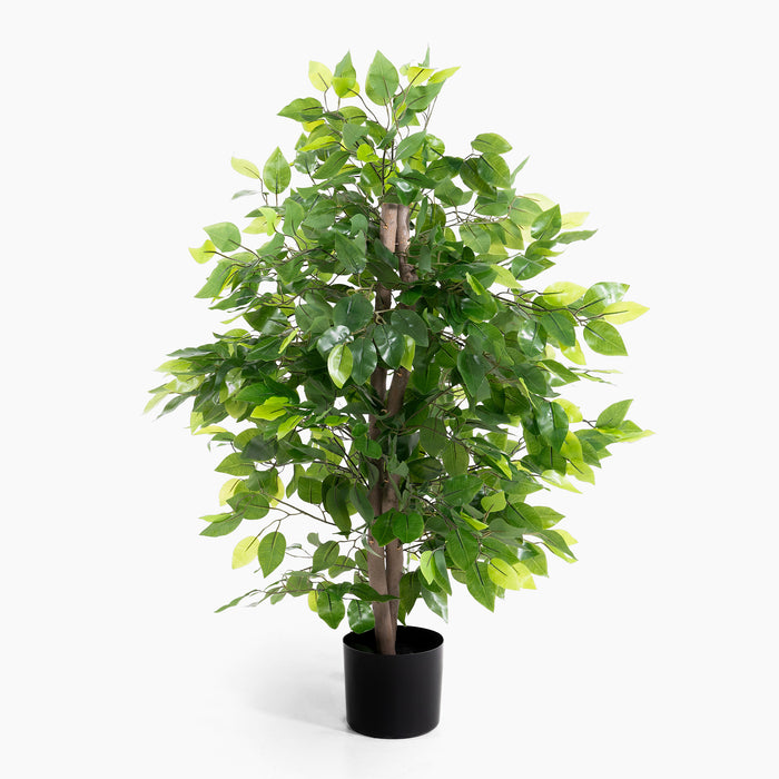 Potted artificial ficus plant on a white background