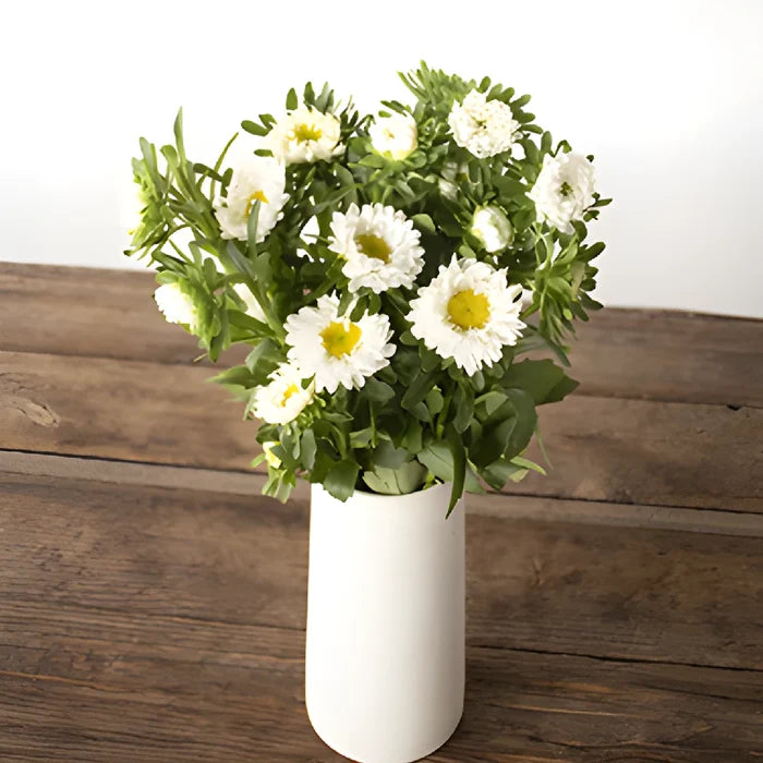 White Matsumoto Aster Flowers