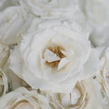 White Spray Roses In Bulk Close Up - Image