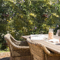 Outdoor setting with wooden table and wicker chairs against a lush green wall of plants and flowers.