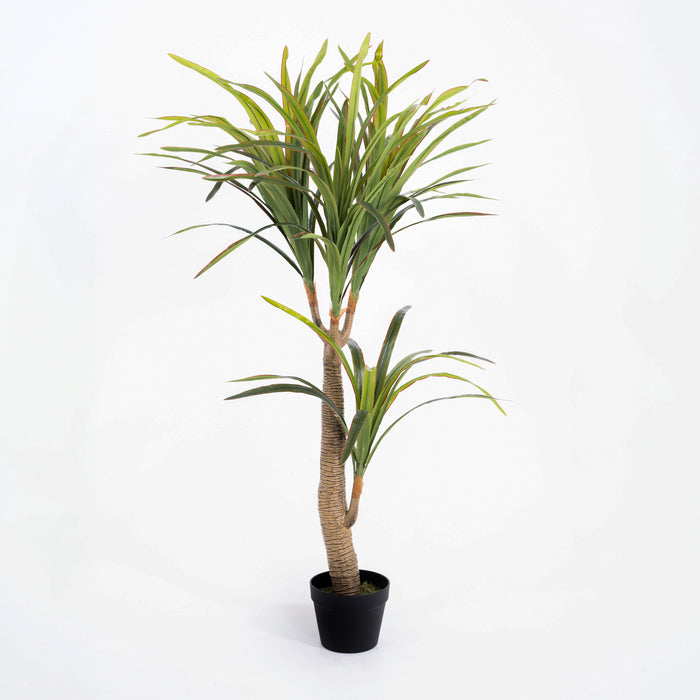 Potted artificial dracaena plant on a white background